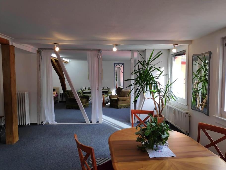 Grosse 130 M2 Gemuetliche Wohnung Im Herzen Tribergs 트리베르크 외부 사진