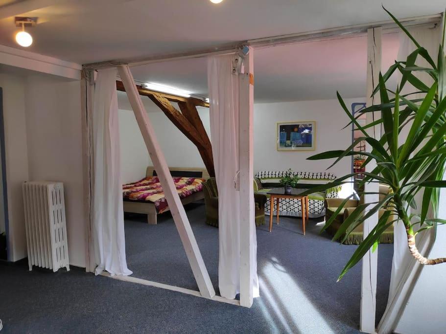 Grosse 130 M2 Gemuetliche Wohnung Im Herzen Tribergs 트리베르크 외부 사진