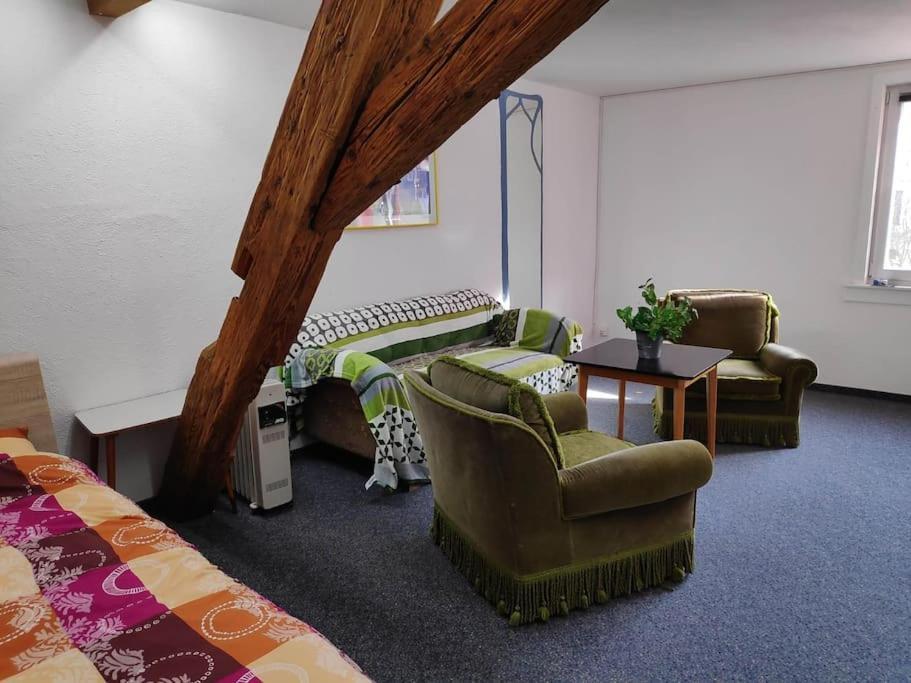 Grosse 130 M2 Gemuetliche Wohnung Im Herzen Tribergs 트리베르크 외부 사진